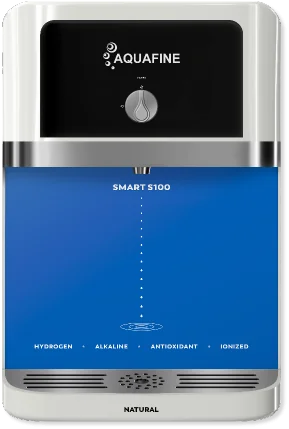F S100 PW B